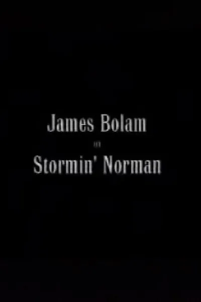 Stormin' Norman