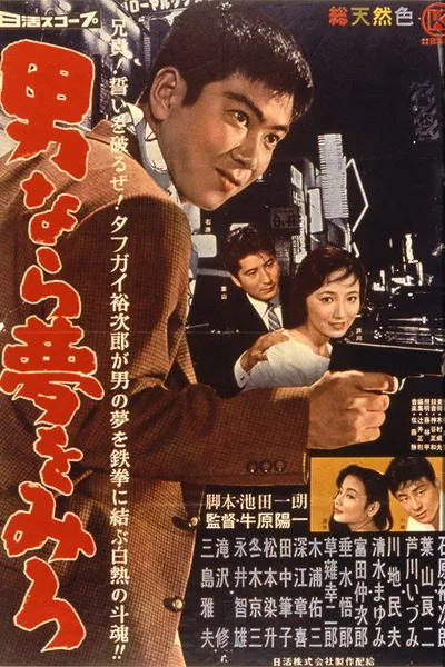 Dream Young Man's Dream