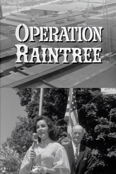 Operation Raintree