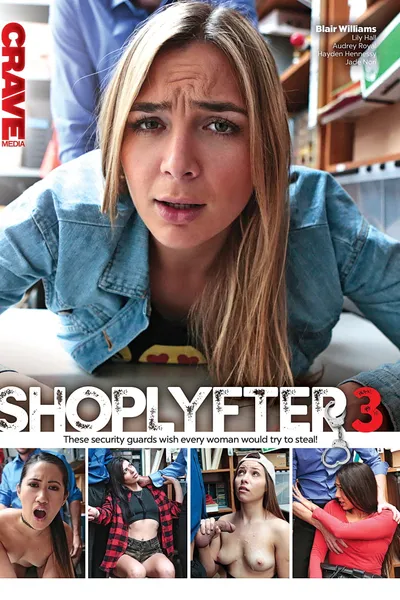 ShopLyfter 3