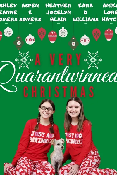 A Very Quarantwinned Christmas