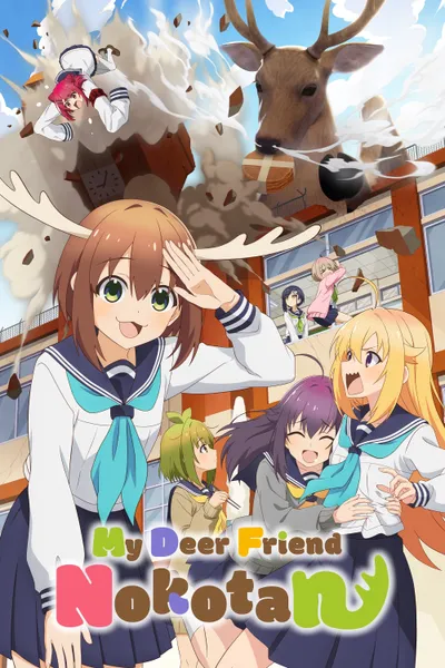 My Deer Friend Nokotan