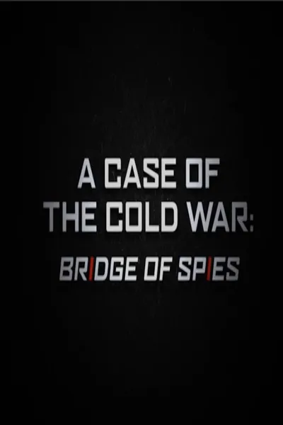 A Case of the Cold War: Bridge of Spies