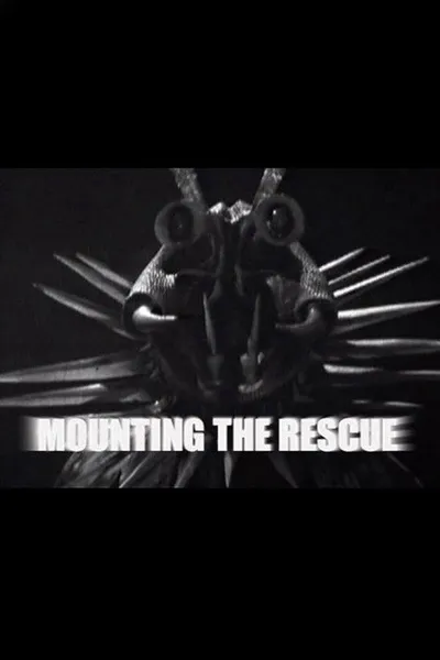Mounting the Rescue