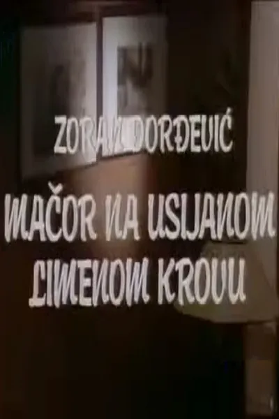 Tomcat on a Hot Tin Roof