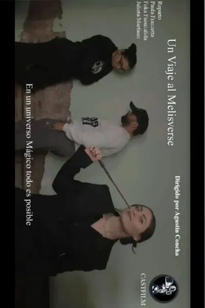 A Trip to the Melisverse