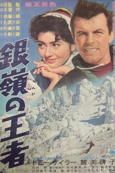 Storm on the Silvery Peaks