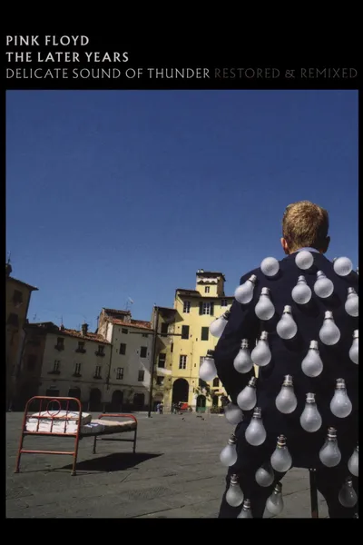 Pink Floyd: The Later Years, Vol 2 - Delicate Sound of Thunder