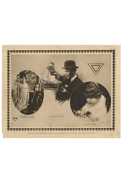 The Lily and the Rose