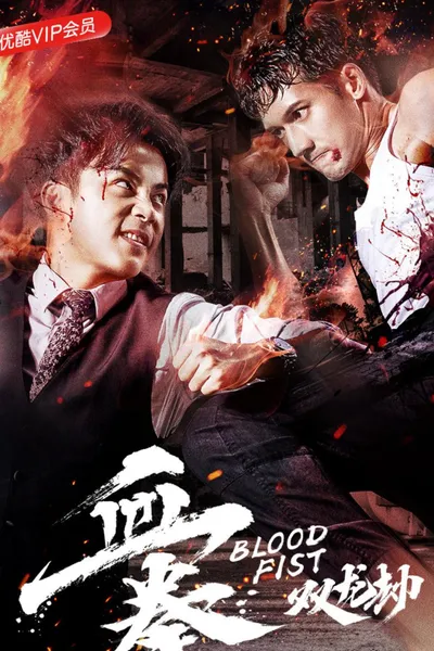 血拳之双龙劫