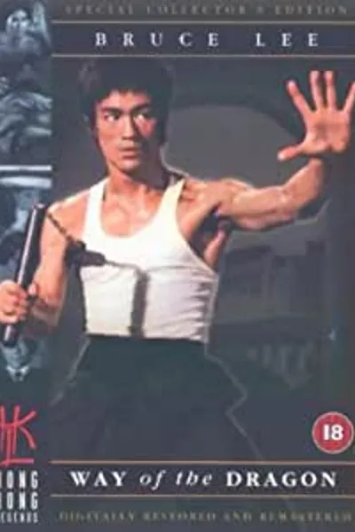 Reflections on 'the Little Dragon'