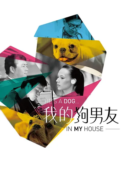 He's a dog, in my house.