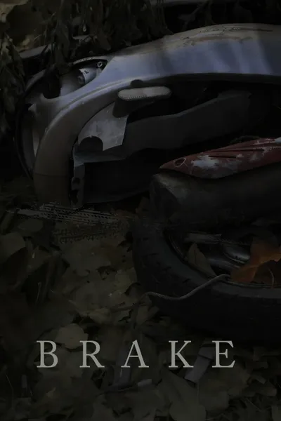 Brake