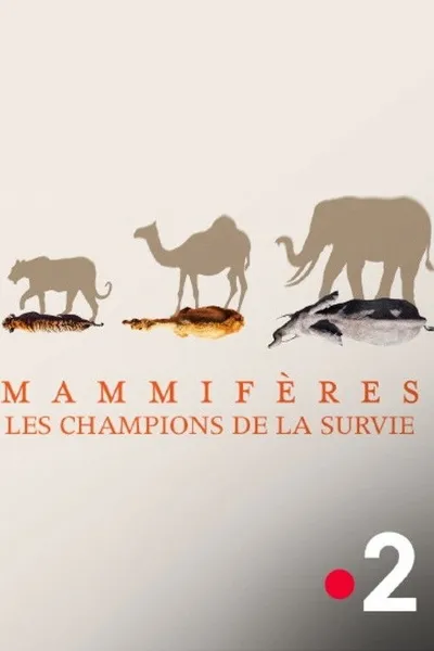 Mammifères, les champions de la survie
