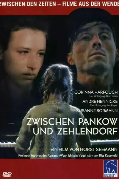 Zwischen Pankow und Zehlendorf