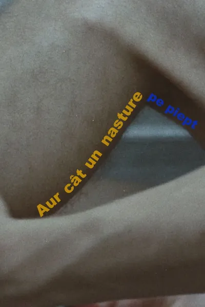 Aur cât un nasture pe piept