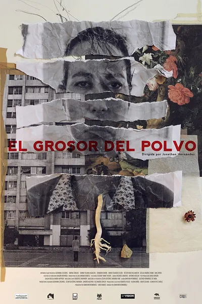 El Grosor del Polvo
