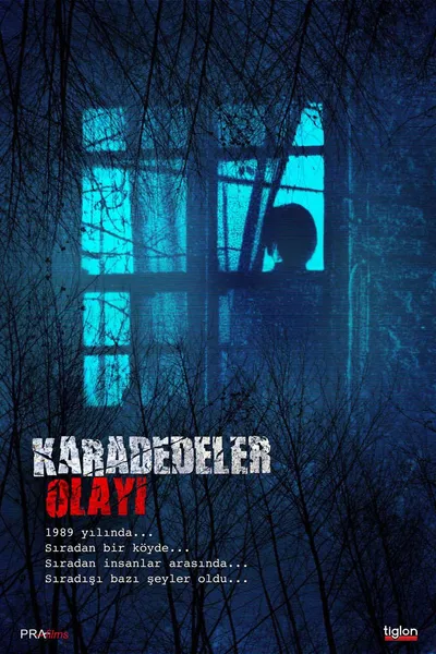 The Karadedeler Incident