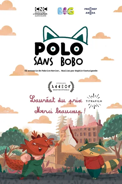 Polo sans bobo