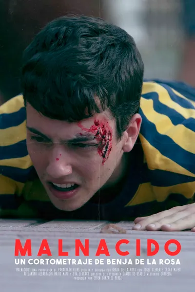 Malnacido