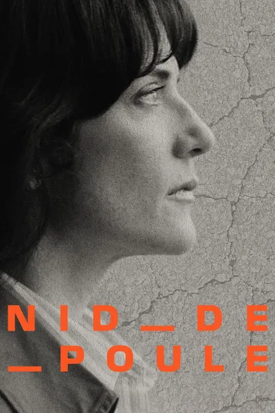 Potholes - Are our roads a public hazard?