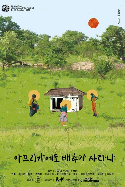 Do Cabbages Grow in Africa?