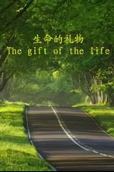 The Gift of the Life