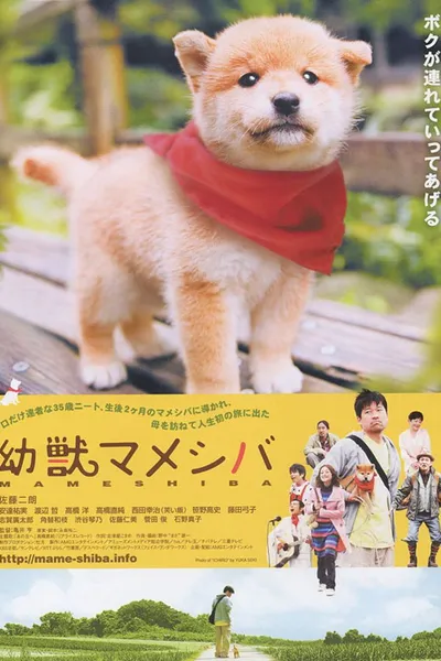 Mameshiba Cubbish Puppy