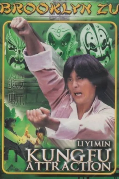 Kung Fu Attraction