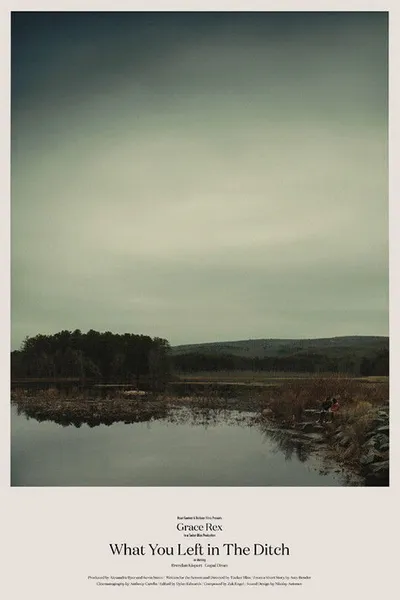 What You Left in the Ditch