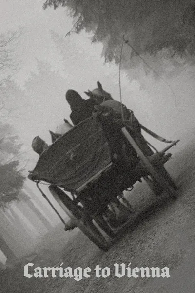 Carriage to Vienna