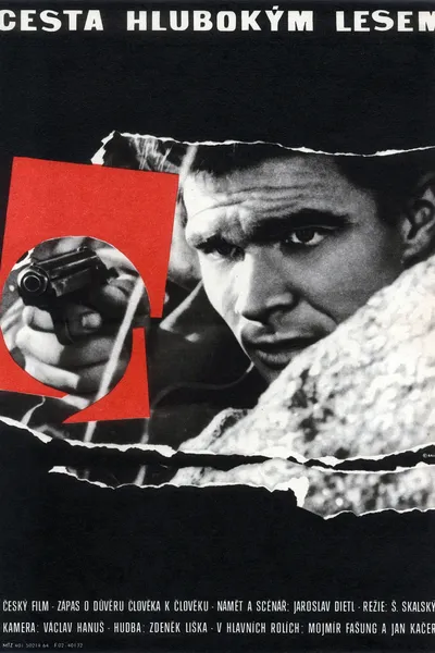 Passing Through a Thick Forest