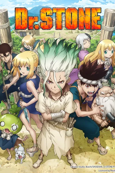 Dr. STONE