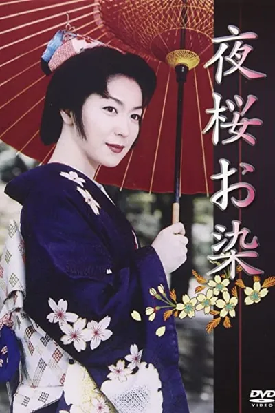 Undercover Geisha