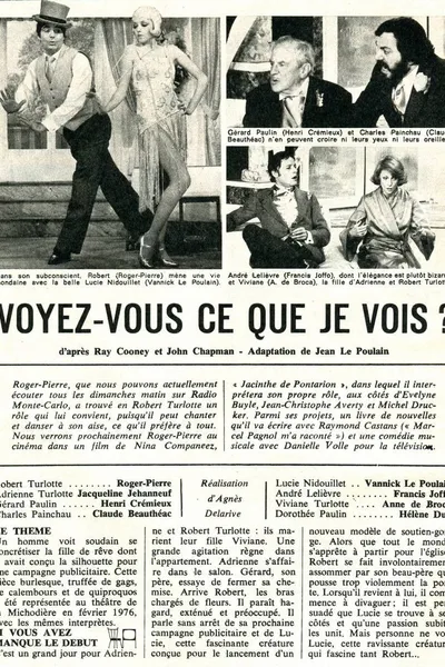 Voyez-vous ce que je vois