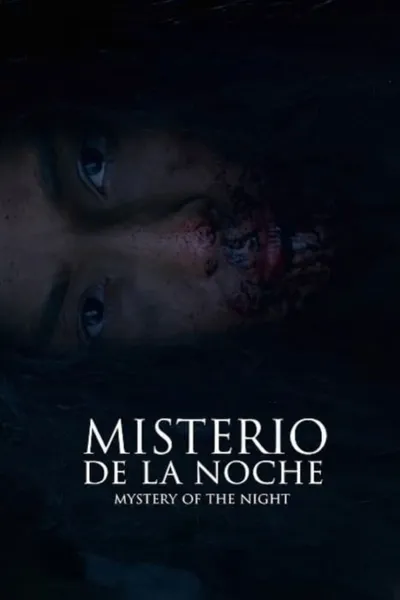 Mystery of the Night