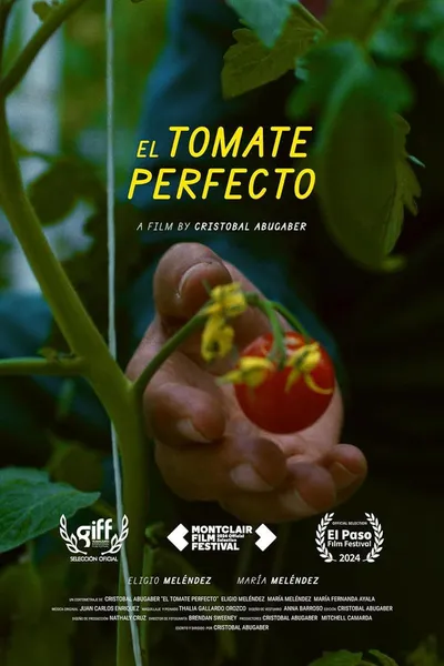 The Perfect Tomato