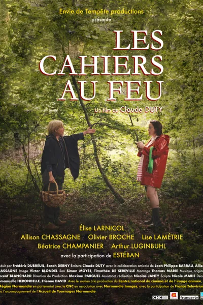 Les cahiers au feu
