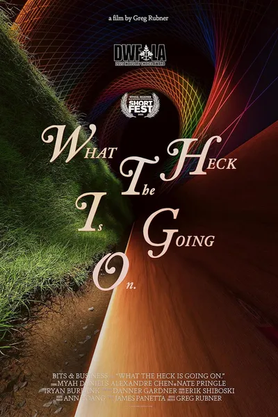 What the Heck Is Going On.