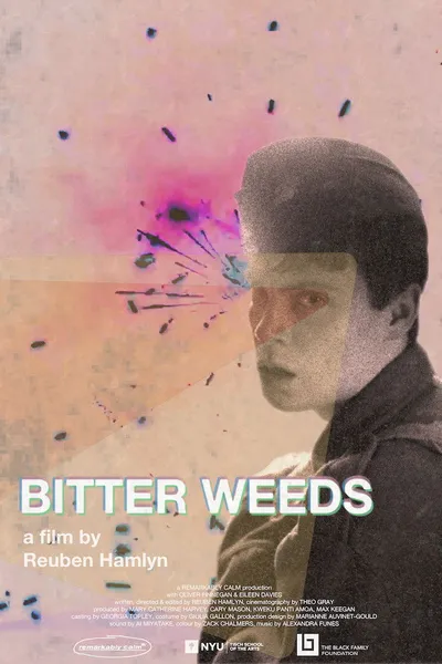 Bitter Weeds