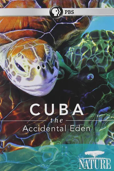 Cuba: The Accidental Eden