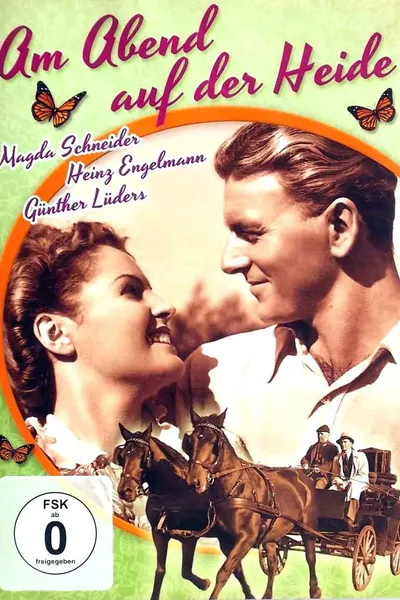 Am Abend auf der Heide