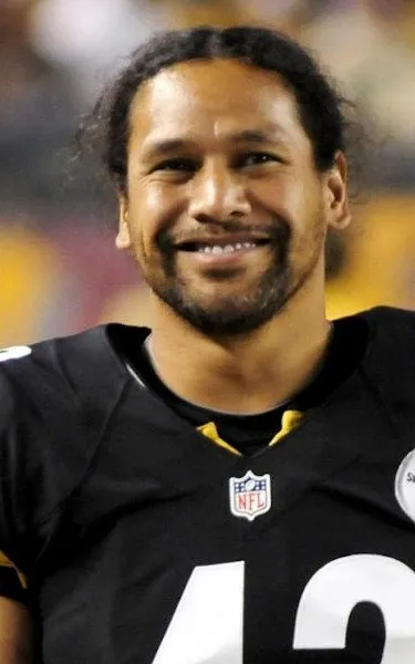 Troy Polamalu